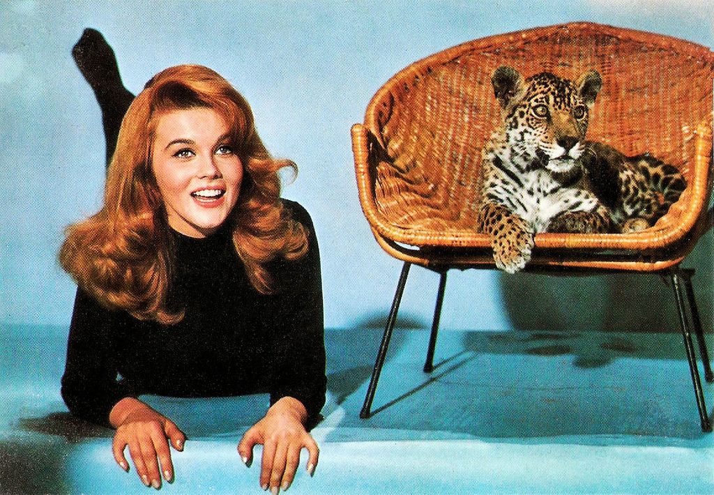 Happy Birthday Ann Margret 8 0 