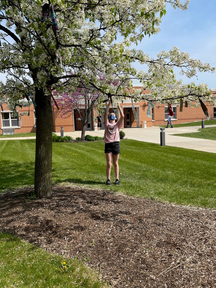 Beautiful day to get outside to tie our wishes on our Cloverdale Wishtrees! #WishesDoComeTrue  
<a href="/CCSD93/">CCSD93</a> <a href="/CloverdaleElem/">Cloverdale School</a>