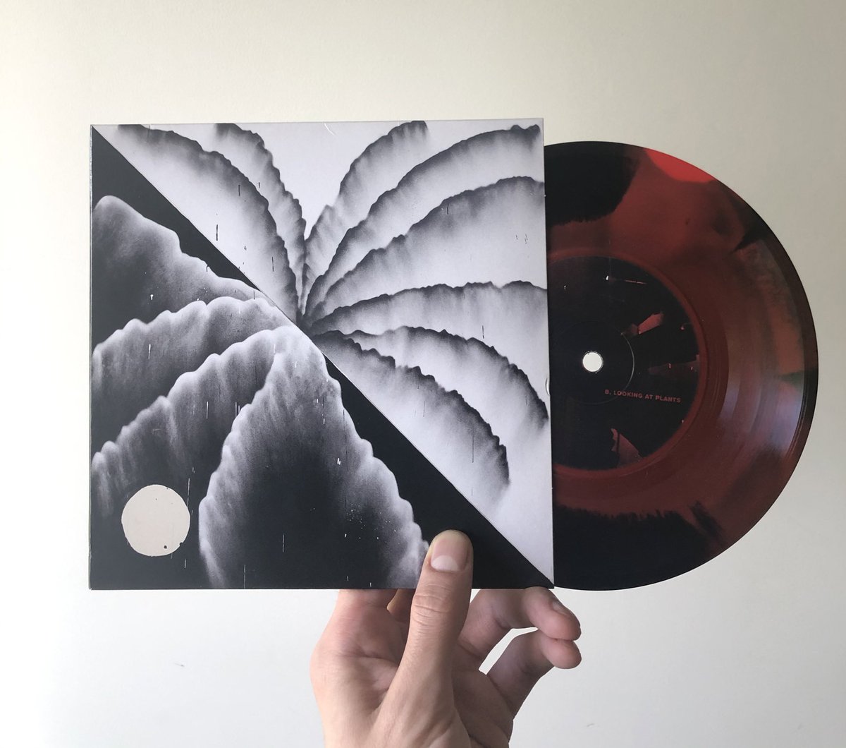 “Heaven Inc.” 
~~vinyl back in shtock for Ltd time :)

🎆🐸🪱🕸🥀☘️🌜☂️

fofmusic.lnk.to/HeavenIncEP