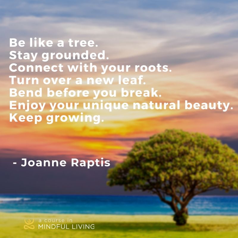 Mindful_Living's tweet image. Today's Arbor Day, and a great time to remember the trees and nature have plenty to teach us!  Show the earth some love, and plant a tree today.   

#ArborDay #LessonsfromNature #MindfulLiving #Trees #MindfulLivingCollective