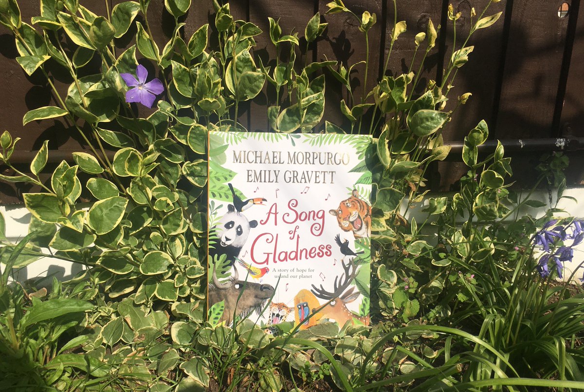 A Song of Gladness is a new picture book written by Michael Morpurgo and illustrated by Emily Gravett which reminds us of the need to care for the planet and every creature in it. This inspiring journey through the animal kingdom is published by  @TwoHootsBooks on 29th April!