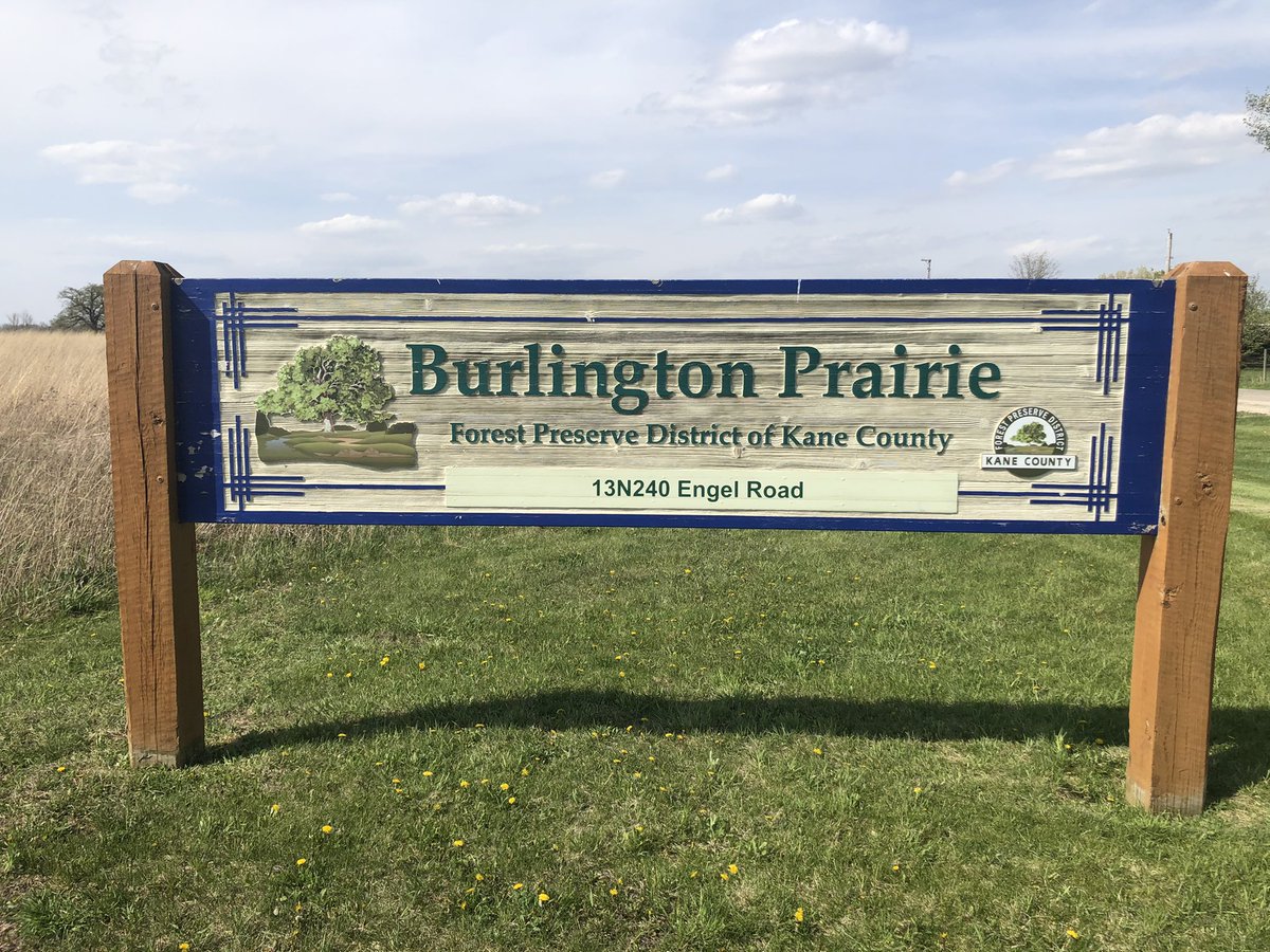 c_hansen84's tweet image. Imagine, if you will, a place to go in Kane County to ride your off-road motorcycle or ATV..... Thanks to working with Kane County officials like @ElectPierog and @KiousW, I hope I’m looking at it. #OffRoadRiding #DuKaneABATE🏍