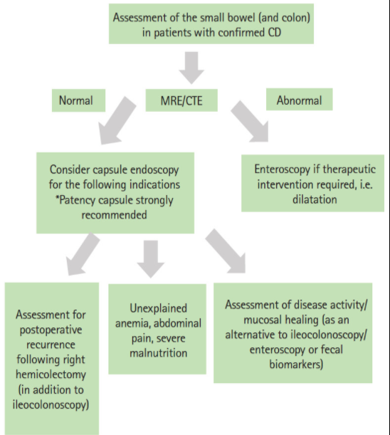 capsulendoscopy's tweet photo. #Capsulendoscopy in inflammatory bowel disease: when
and how. https://t.co/ADtqoXfV7e https://t.co/ss6k1dDLmD