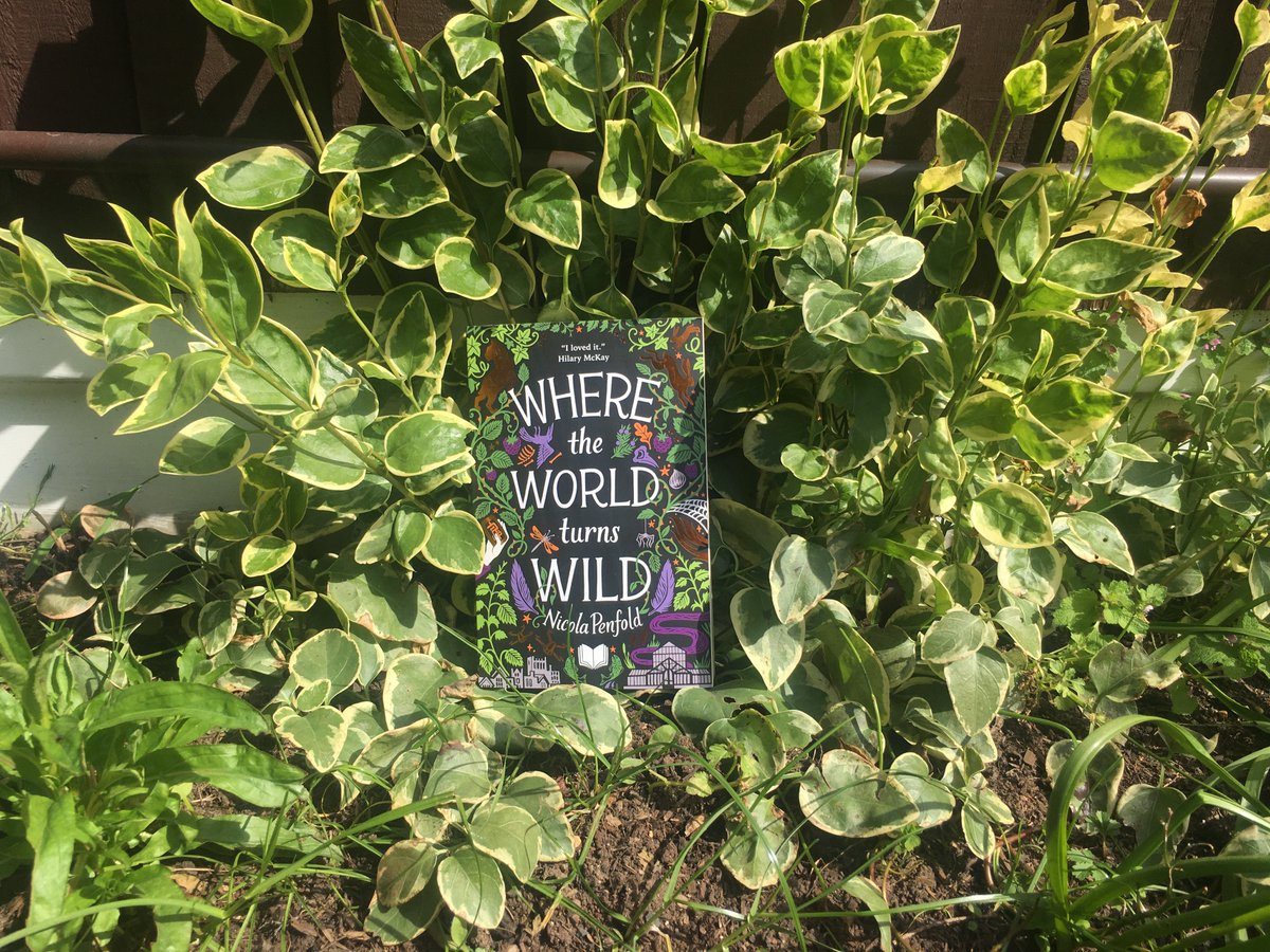 Where the Wild Turns Wild by  @nicolapenfold (published by  @LittleTigerUK) is a middle grade adventure with an ecological message which pits a pair of resourceful siblings against ruthless human forces and the dangers of an unknowable wilderness. Out now!