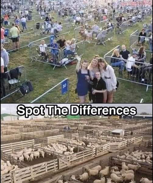 GrumpyGenXer69's tweet photo. Hint: there is no difference 😂
#plandemic #openohio #impeachDeWine #covidhoax https://t.co/PiCJeAR0NJ