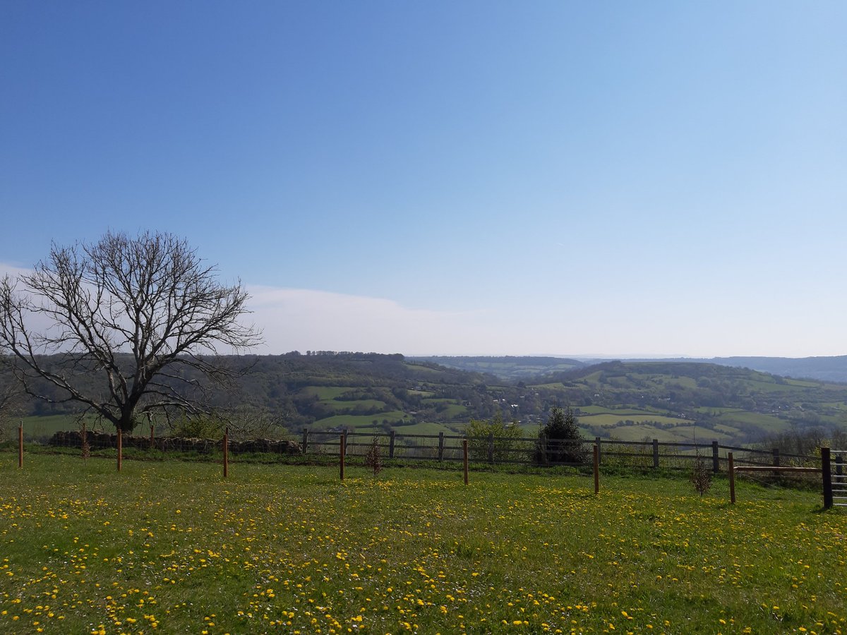 Exploring some new walks, fields full of dandelions and a skylark spotting 🤩😍

#bathskyline #skylark #dandelion #meadows #englishcountryside