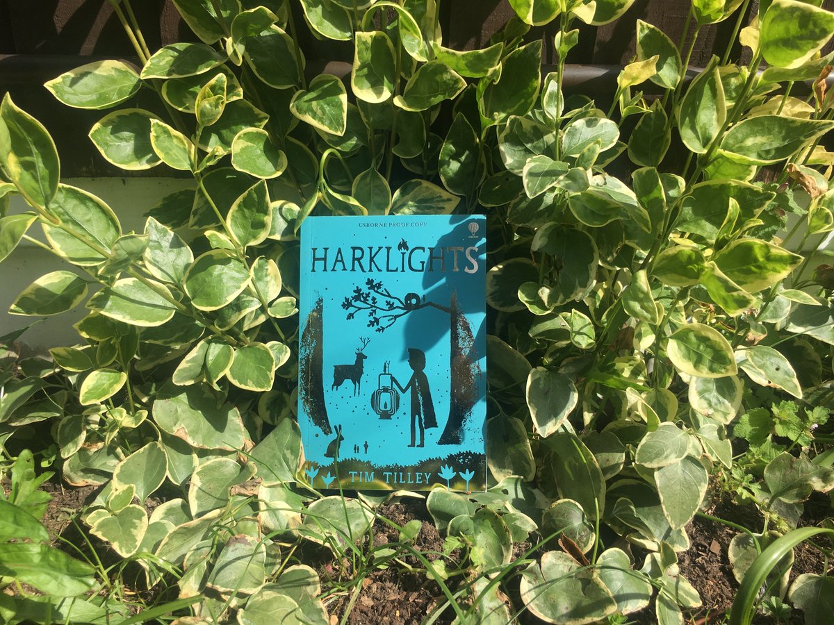 Middle grade debut Harklights by  @timbertilley centres on Wick, a boy desperate to escape the oppressive Harklights orphanage, and the miniature protectors of the forest who offer him a chance of freedom. Coming out with  @Usborne on 13th May!