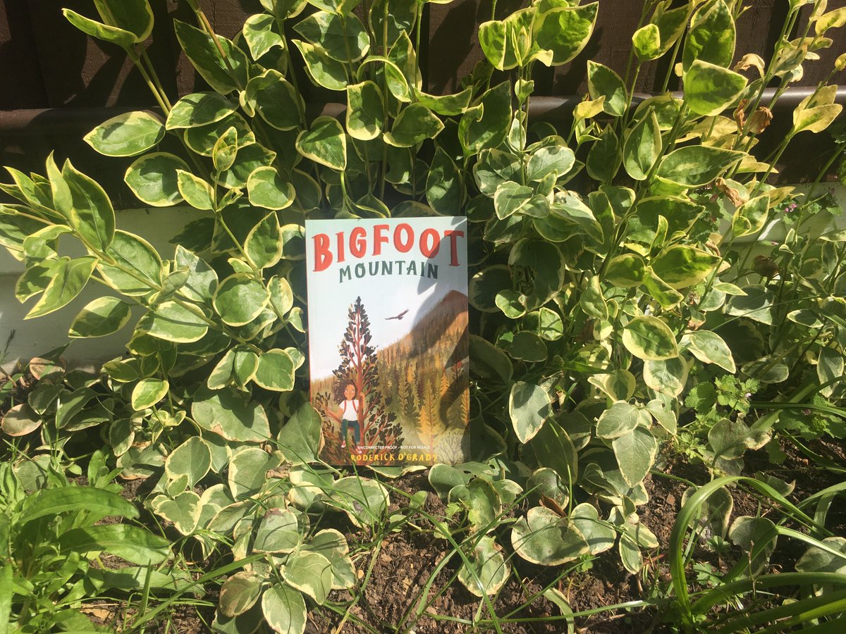 Bigfoot Mountain by  @RoderickOGrady1 is a debut middle grade novel with themes of grief and healing set in a remote mountain landscape. Coming from  @FireflyPress on 29th April!