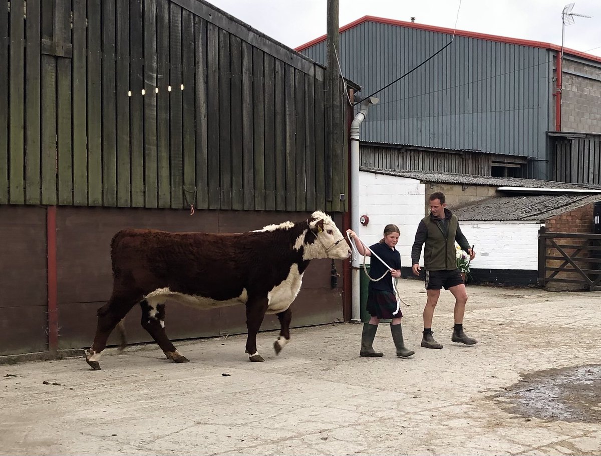 ElmsSchoolRural's tweet photo. Some of our keen young handlers learnt how to correctly show our Hereford heifers in Showing Club today ๐ฎ Roll on @TheElmsSchool Show in June! @UKHerefordyouth @UKHerefords @_SchoolFarms @dredvers #herefordcattle #training #learning #younghandler https://t.co/89LpMgPEFL