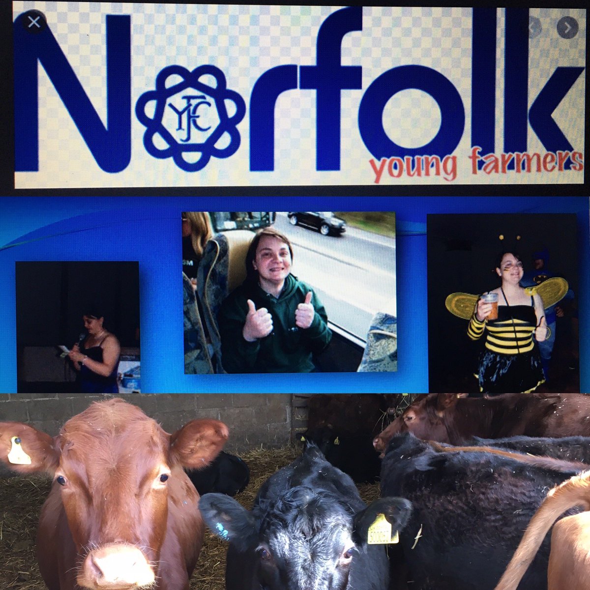 Being part of Young Farmers has been a massive part of my life since the age of 17. Really honoured to speak to members of @NorfolkYFC tonight about building my love of cows into a business #minimoos #Waveneydexterbeef #yfc #womeninag #gbbw @Ladiesinbeef1 @NFYFC