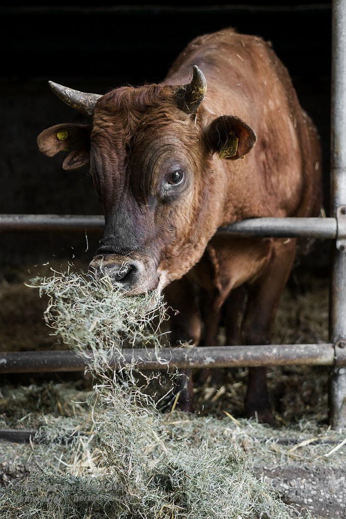 a light snack <a href="/JacobBeeker/">Jacob Beeker</a>