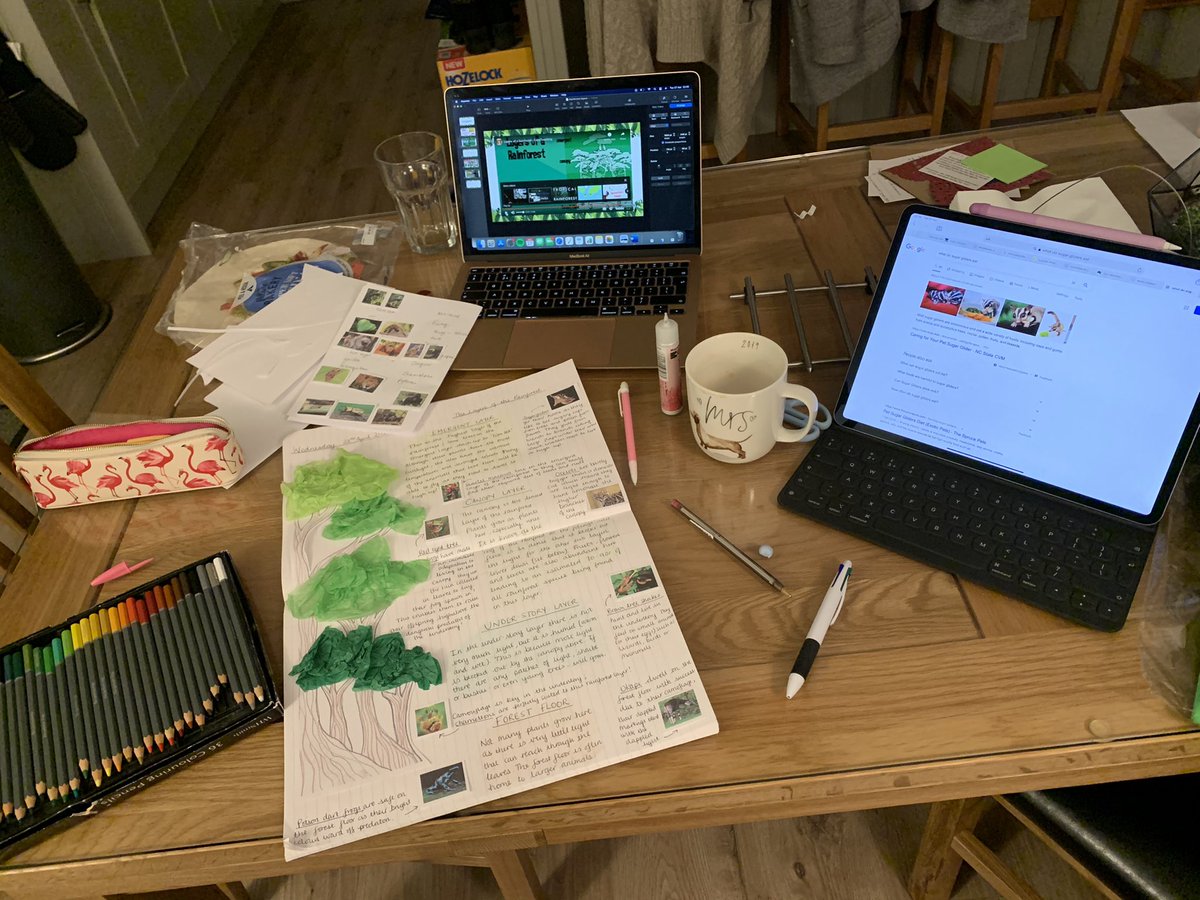 When the kitchen table looks like this, you know you’ve come up with a good idea... 💡🌿✂️✏️💚 #primaryteacher #nqt