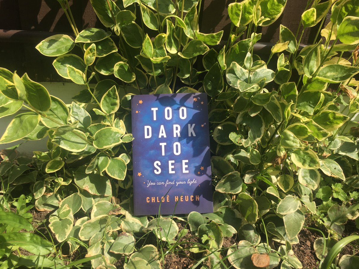 Too Dark to See by  @clogsulike is a debut YA novel about grieving 16-year-old Kay who is on a mission to self-destruct, until she finds hope in a wild landscape. Out now with  @FireflyPress!