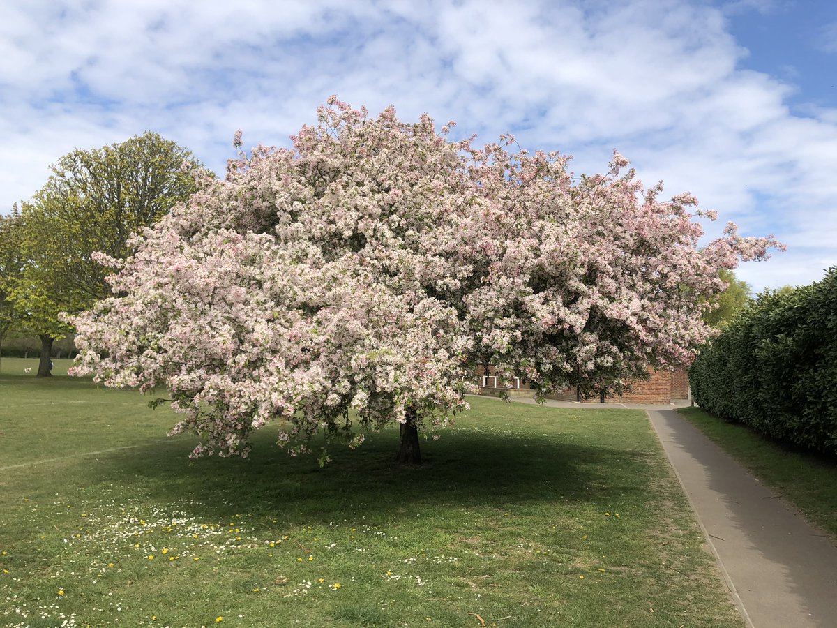 Fran Bettesworth tweet media