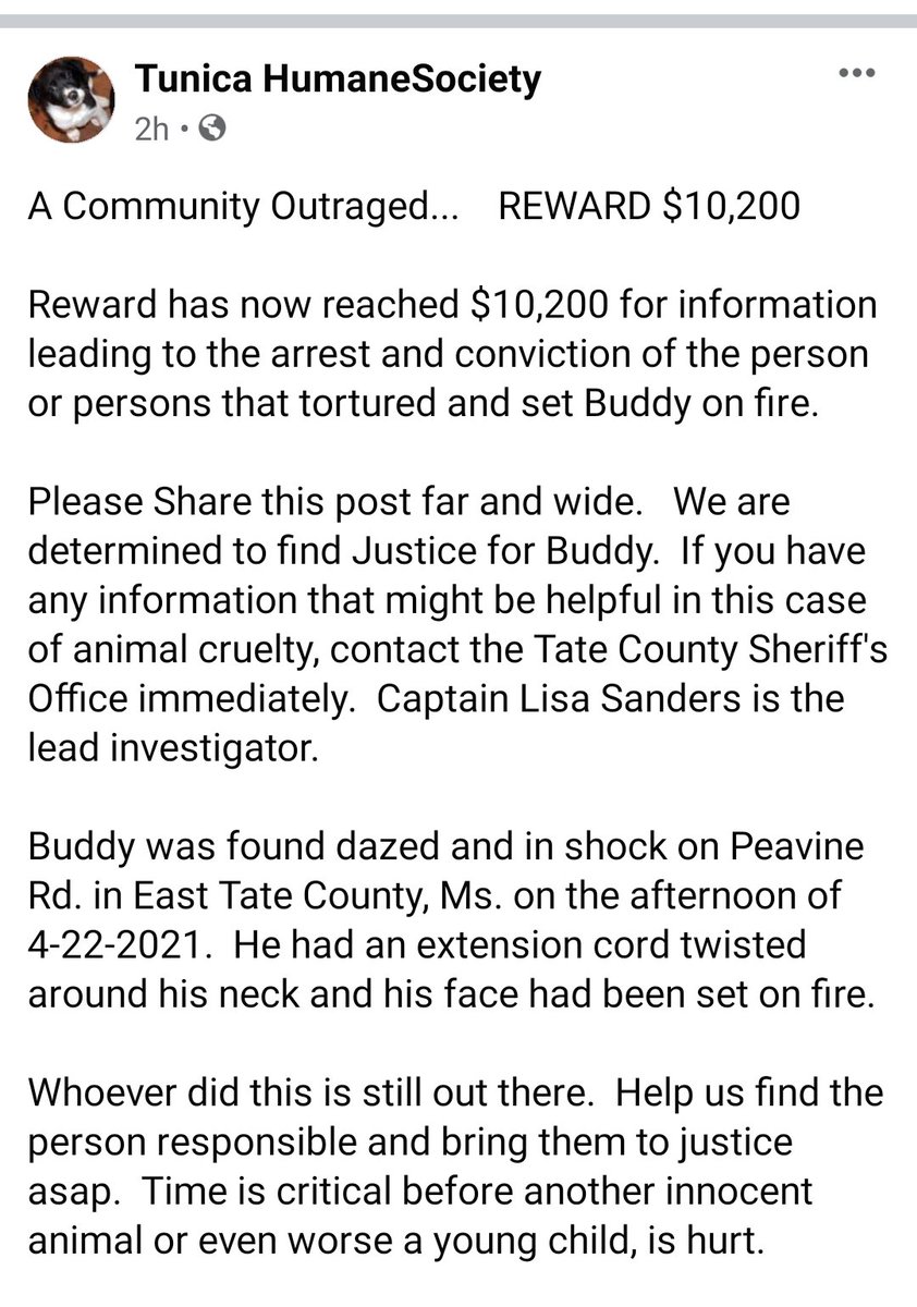 kaylamarie413's tweet photo. Update on Buddy the dog who was tortured and lit on fire. He is doing better and the reward has been raised. Here is the latest update. East #TateCounty #MS call Tate County Sherrifs office. https://t.co/oZP52Vqh7S