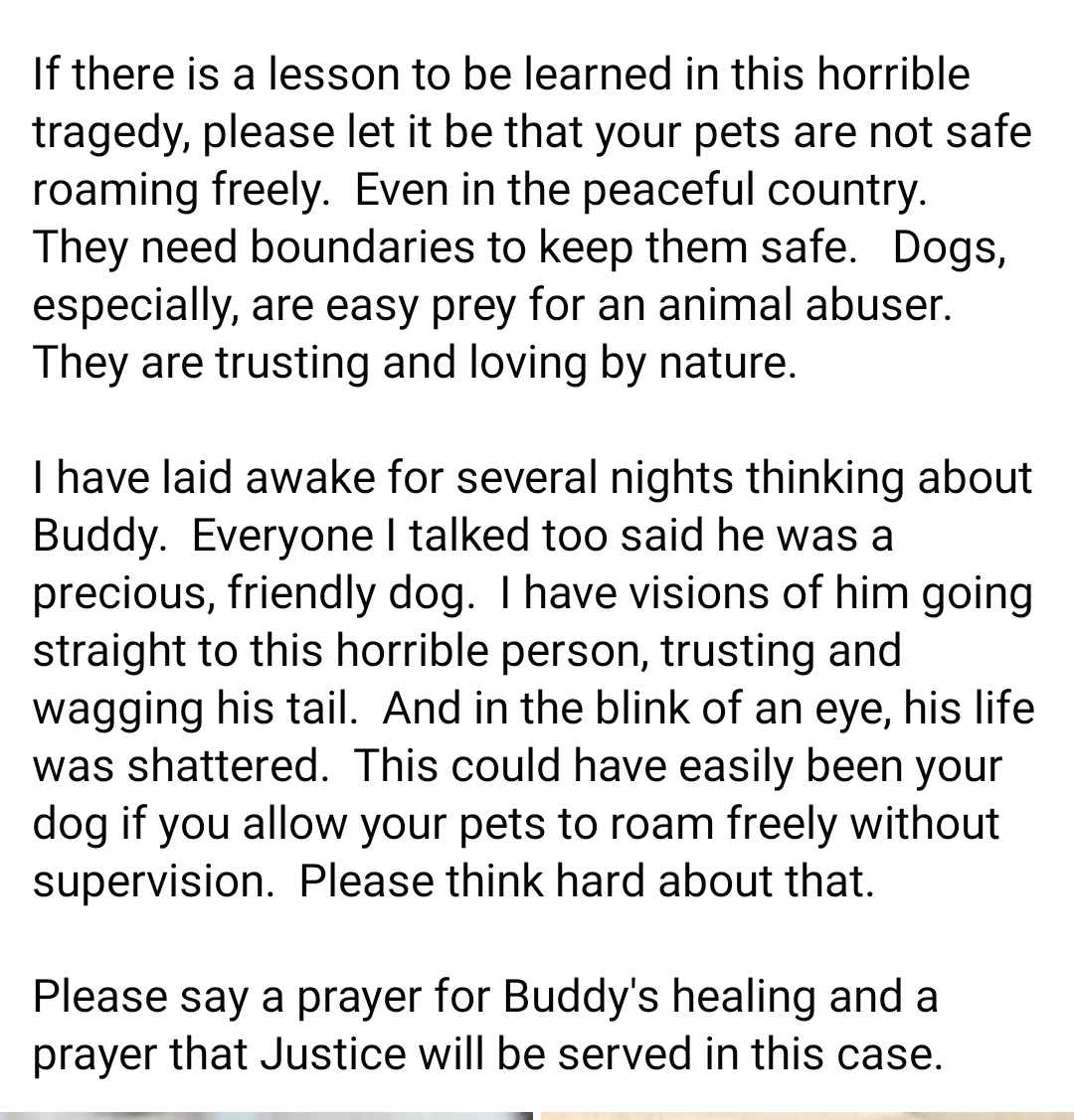 kaylamarie413's tweet photo. Update on Buddy the dog who was tortured and lit on fire. He is doing better and the reward has been raised. Here is the latest update. East #TateCounty #MS call Tate County Sherrifs office. https://t.co/oZP52Vqh7S