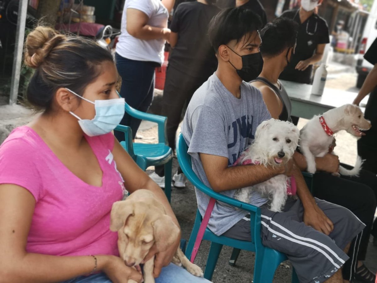 alcaldia_ss's tweet photo. 🐶🐱 | Ahora los peluditos del hogar de la comunidad San Luis en el Distrito II, recibieron sus vacunas como parte de nuestra jornada canina y felina.
📲 | Te contamos todos los detalles en: https://t.co/0xPaIiSMo1
#SSesTuyo https://t.co/3xkRfVHE8H