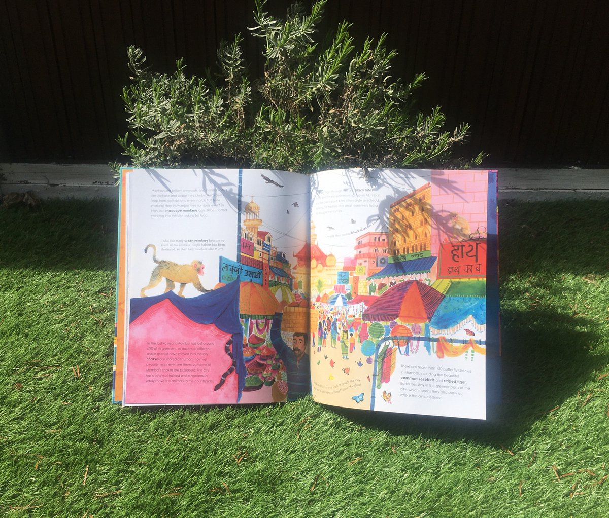 Wild Cities by  @benlerwill and  @HobdayHarriet shares stories of the animals who are adapting to live in our urban world - from penguins in Cape Town to leopards in Mumbai and seals in Sydney - and how we can help them to thrive. Out now with  @PuffinBooks! I love this cover 