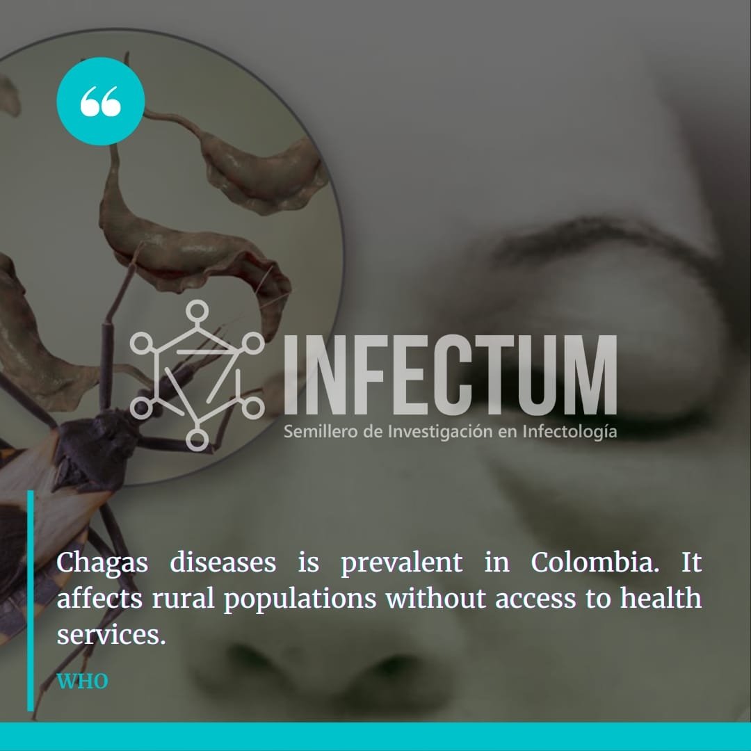 InfectumU's tweet photo. 💊 PÍLDORA INFORMATIVA 💊
https://t.co/eLpXPZkm4L
somos #INFECTUM somos #NumberUAN https://t.co/cefC1TAjuS
