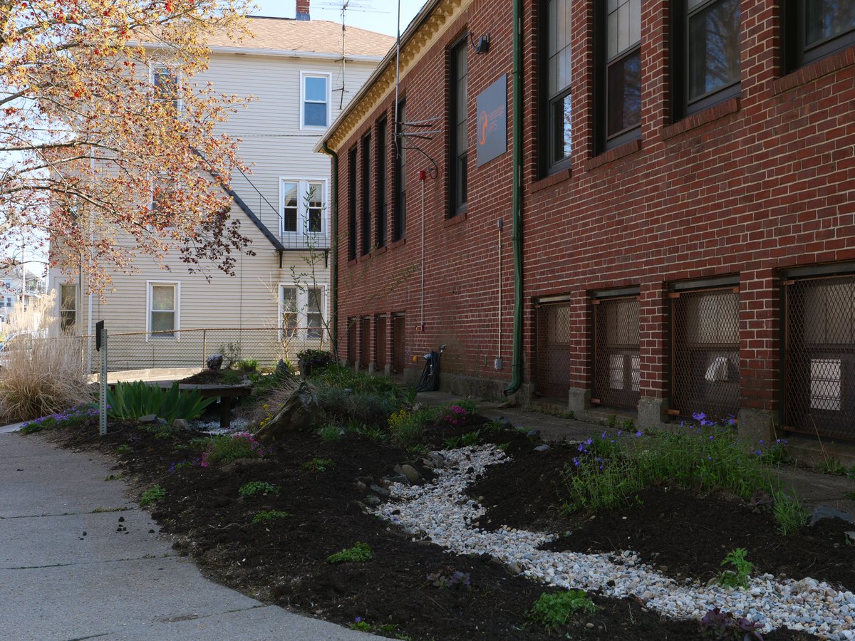Our rain garden is back in business! After some much needed attention and care during our Earth Day cleanup, our demonstration rain garden located at our Studios is looking sharp once again

#RainGarden #Gardening #RainWater #SustainableGardening #BioretentionFacility