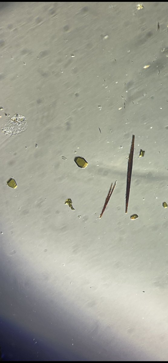 Jsperling91's tweet image. Two new neptunium compounds from the same reaction. Got really lucky with these ones thanks to the help of team @TEAS_Actinides @whitefootmegan @Bai01595789 @_ToddPoe_ @BrianLongChem #fblockrocks