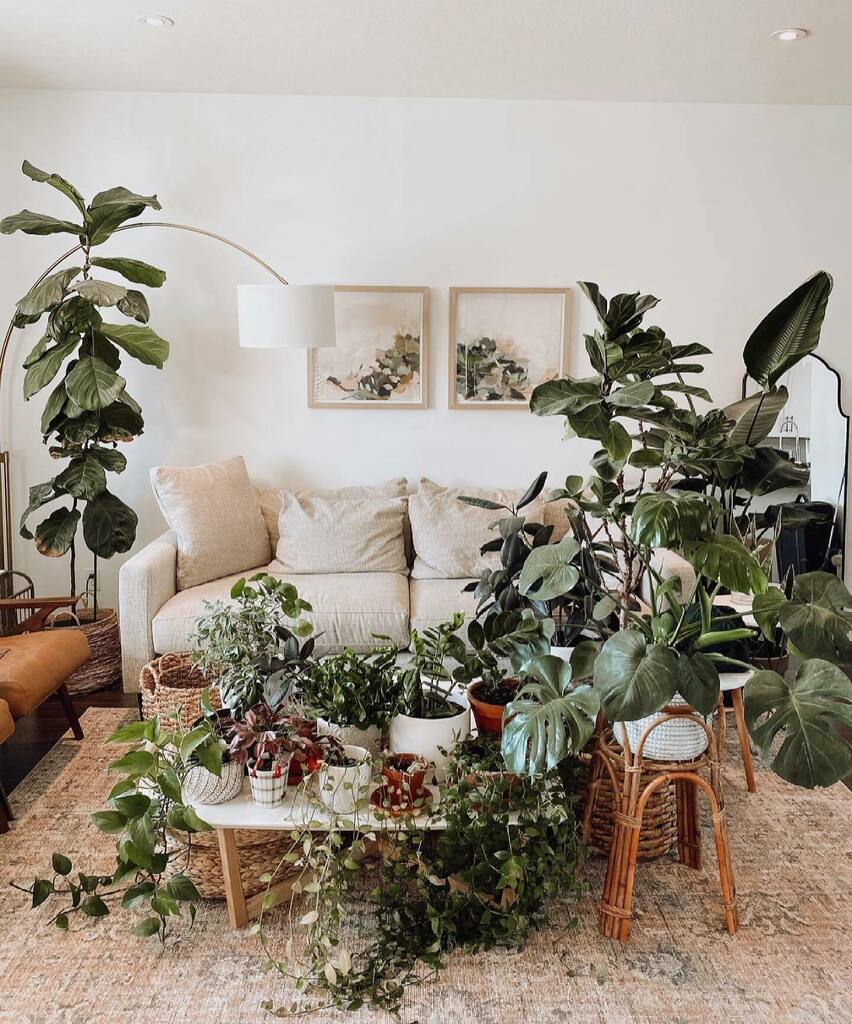 TheFreedomState's tweet photo. No need for a television with a living room like this • Via @gingerdeb.house 🪴 x x 
.
.
.
.
.
#Jungalow #JungalowHouse #JungalowStyle #GingerDebHouse #Plants #Love #PlantLove #Living #LivingRoom #AbodeGoals #HouseGoals #PlantGoals #Inspiration https://t.co/trO2jVOIZN https://t.co/VvRVO5CNi1