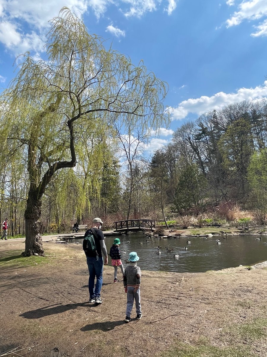 I got more outdoor GTA trails. This is Lambton woods in the West end of Toronto. Park at James Gardens off Edenbridge Dr. where there are gorgeous ponds, flowers, bridges. Walk into the forest path and/or along Humber River trail.