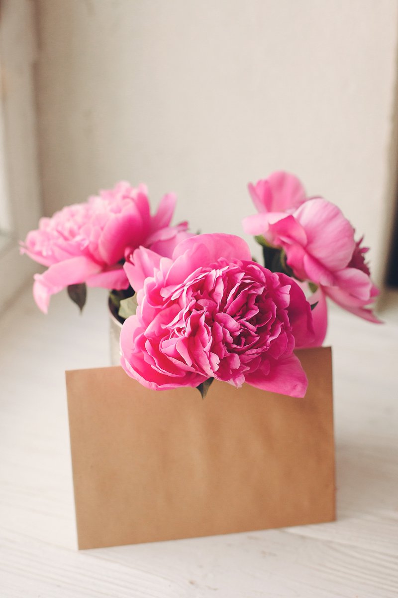 wedframe tweet media