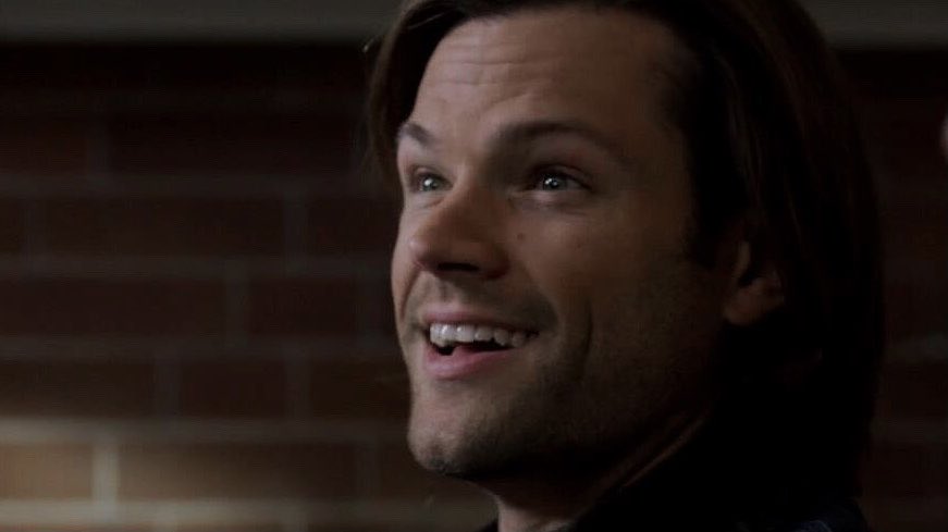 sam’s nose (@dailysamnose) on Twitter photo 