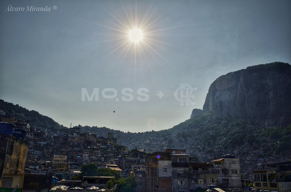 @luis_adaime Era uma vez, um Flamenguista, Carioca, nascido e morador da Maior Favela da América Latina: ROCINHA!
Um local Vivo! O manto se perdia em meio ao verde. Hoje me uni a @moss_earth e tenho meu primeiro #creditodecarbono. O manto não existe mais, mas sobrou a esperança