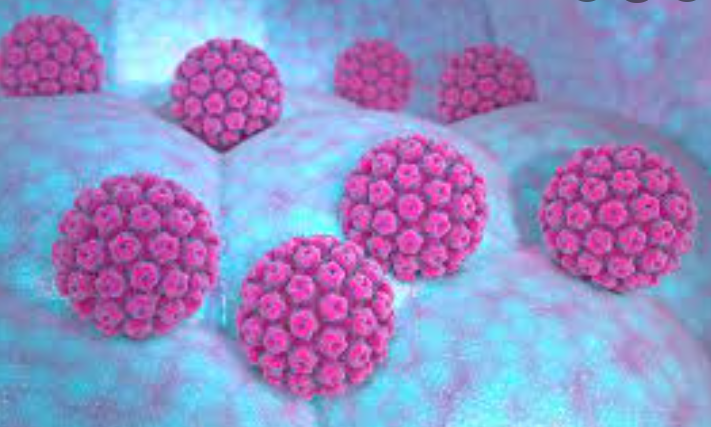cancer_agency's tweet photo. This World Immunisation Week make sure your whānau are up-to-date with all their vaccinations. The HPV vaccine is free for everyone aged 9-26 and helps protect against cervical cancer. #CervicalCancer #HPV #WorldImmunizationWeek https://t.co/GjySvhcMVi