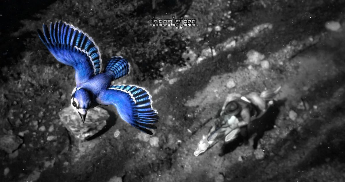 Blue Bird - A Sign of Happiness 

@rockstargames @playstation #reddeadredemption2 #rdr2 #rdo #virtualphotography #bluebird #birdie #scenery #arthurmorgan #gamingphotography #ps4 #ps4pro #westernvibes #GamerGram #TheCapturedCollective #VGPUnite #ThePhotoMode