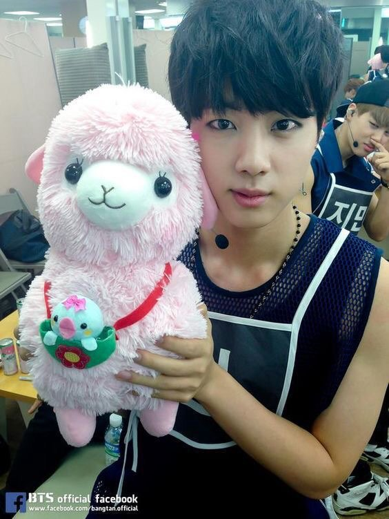 seokjin and his fondness for alpaca - a soft thread
