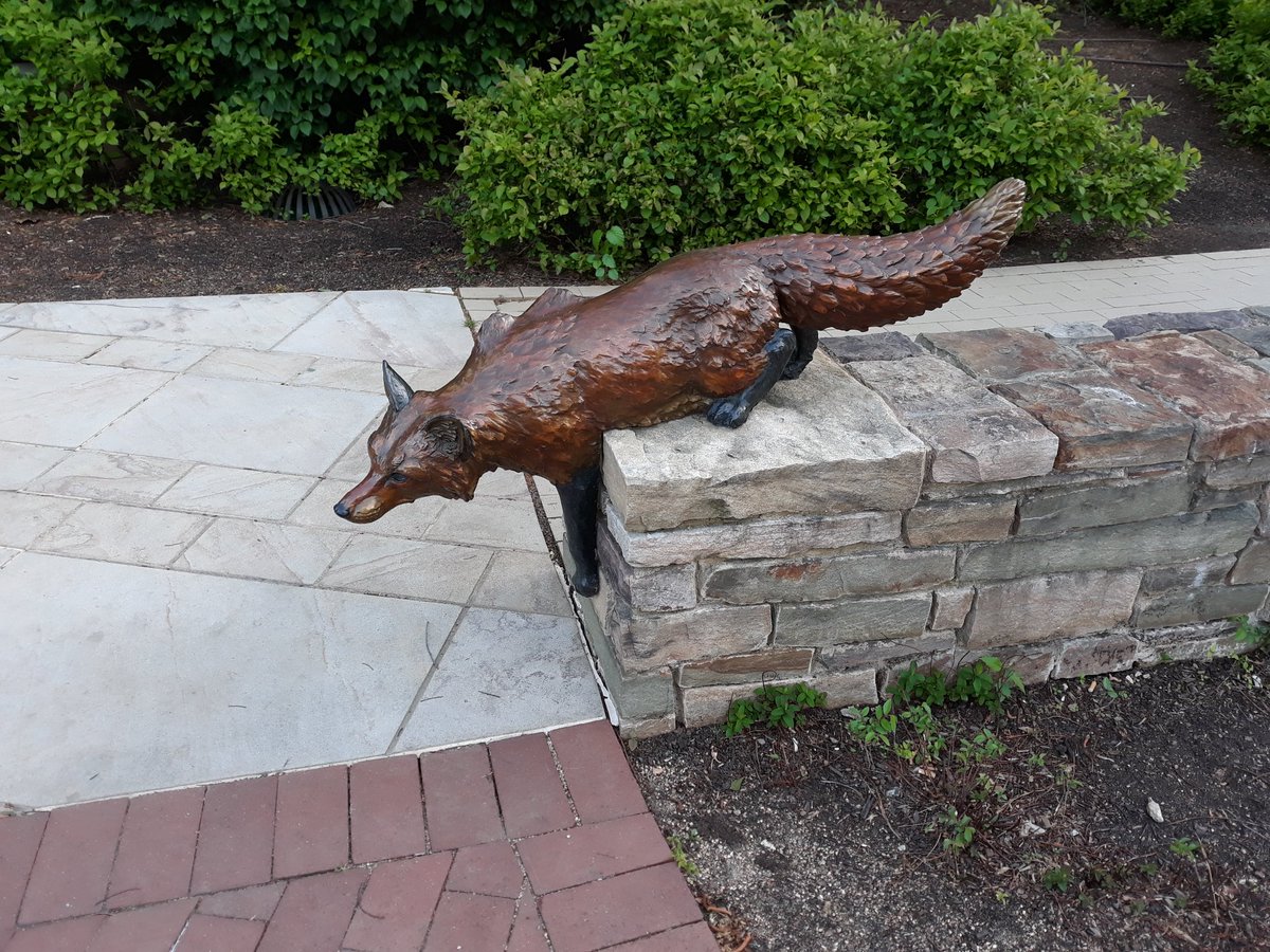I'm taking a very long walk to support  @LAZoo's  #WalkForTheWild. My goal was to find this fox sculpture but look what other thematically appropriate animal delights I found that I never noticed before! First, the monument to my local Hey Lady Fox: