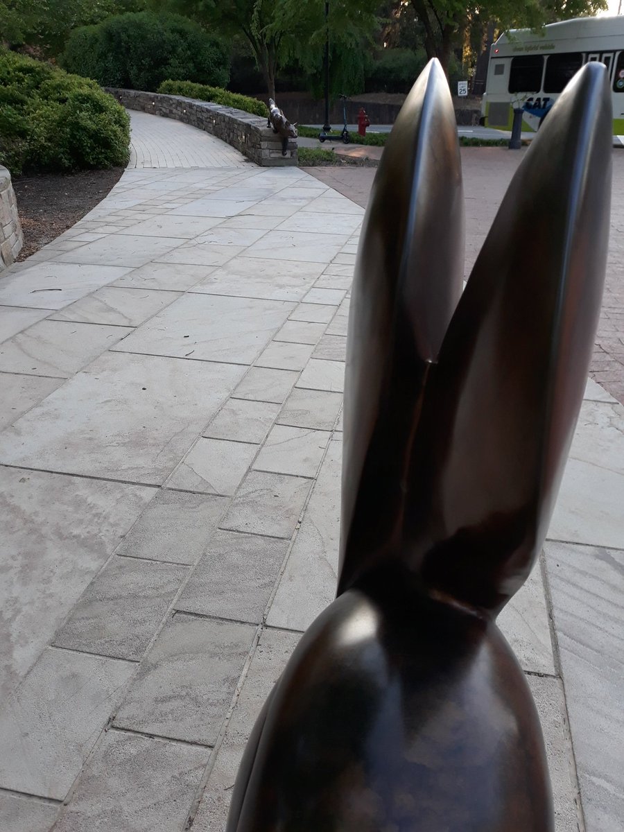 A Dude decided to exercise on the Riding Rabbit as soon as I left it.   #WalkForTheWild