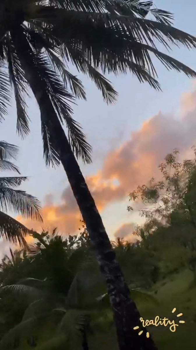 27.04.21H posts a video with the word"reality".For me to link to the first photo of her:Getting lost in a dream.She is now clearly saying that the dream she got lost in is a wonderful reality.C replies to K confirming the family relationship by saying:we're coming,wait for us