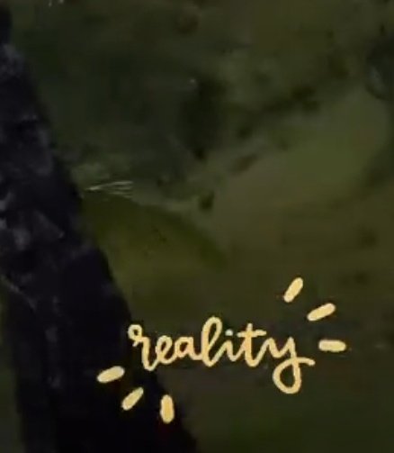 27.04.21H posts a video with the word"reality".For me to link to the first photo of her:Getting lost in a dream.She is now clearly saying that the dream she got lost in is a wonderful reality.C replies to K confirming the family relationship by saying:we're coming,wait for us