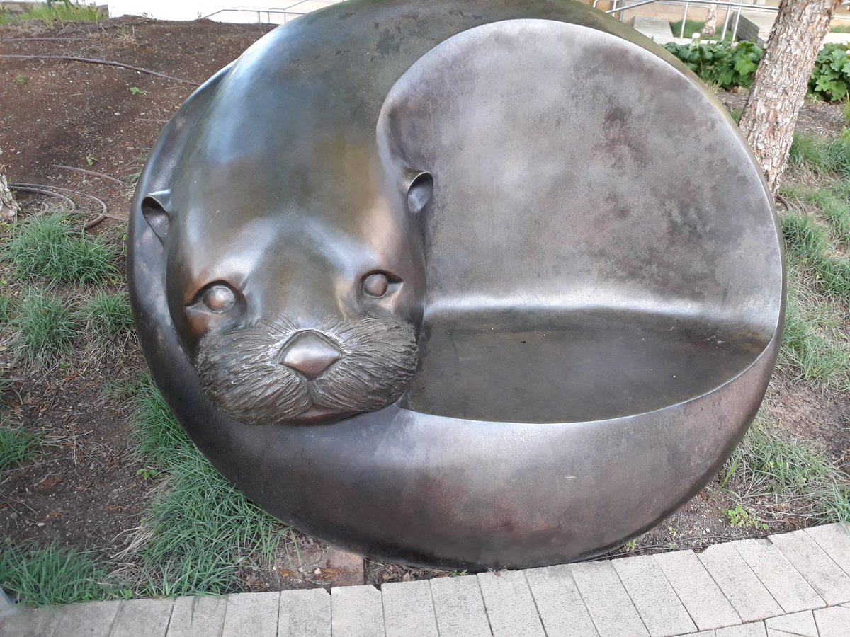  #MightyMustelids are perfect in every way, including this excellent otter seat! Obviously, he's supporting his fellow mustelids on  #TeamSweatyWeasels for  #WalkForTheWild, right  @radiationmouth ?