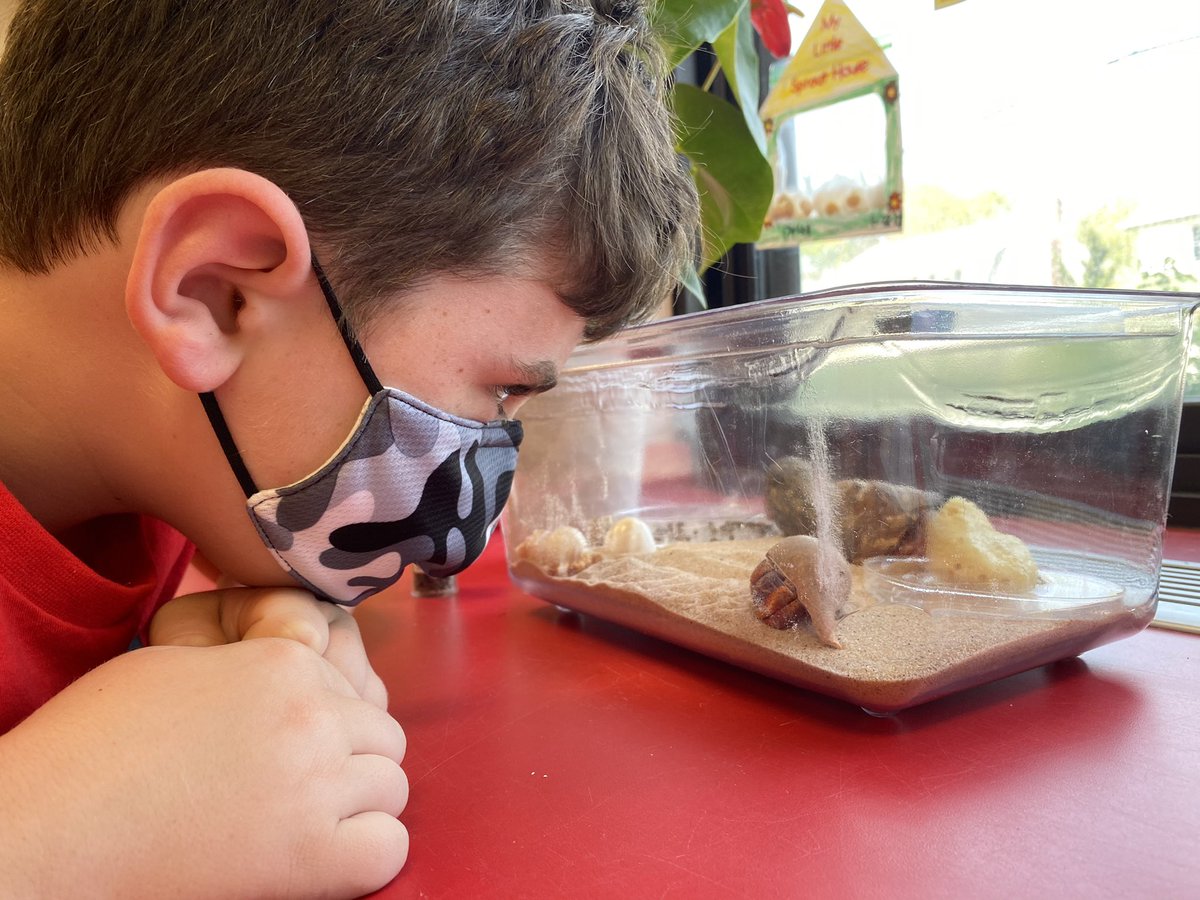 Mrs. Gaddy 💕💚 tweet media