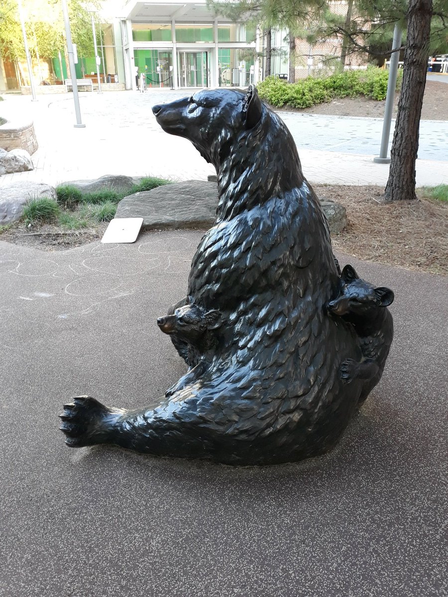 Last but not least...MAMA BEAR! I assume she's here in memory of the *REAL BLACK BEAR* that wandered up to the doors of the children's hospital here and tried to gain admittance a few years ago.  #WalkForTheWild