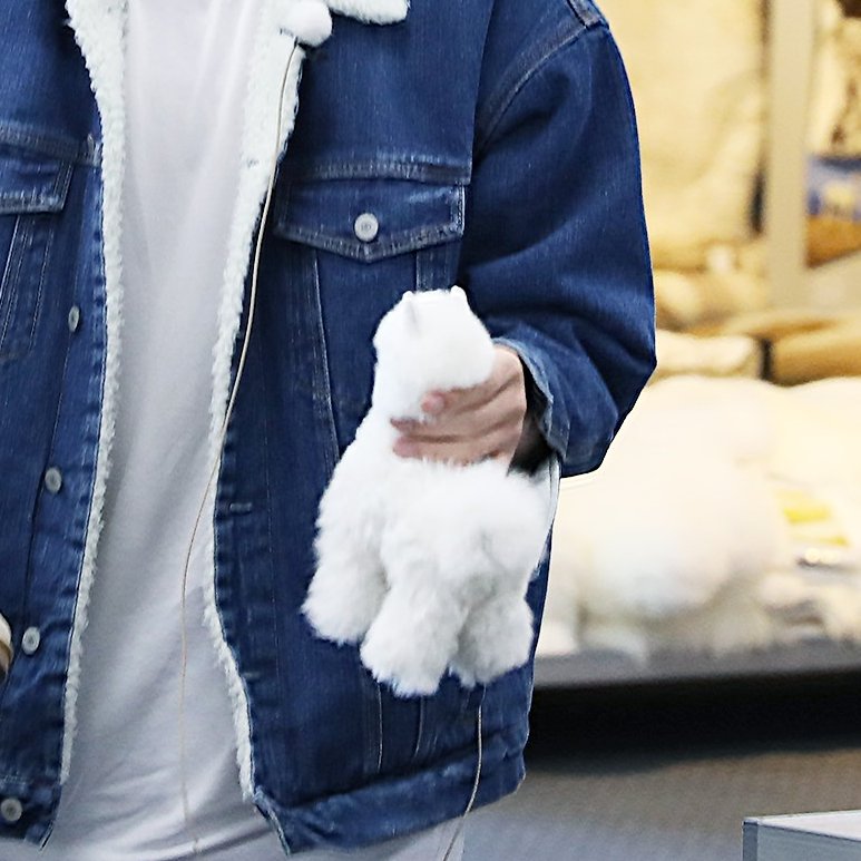 Also when they shopped, he really bought this little alpaca plushie :(((