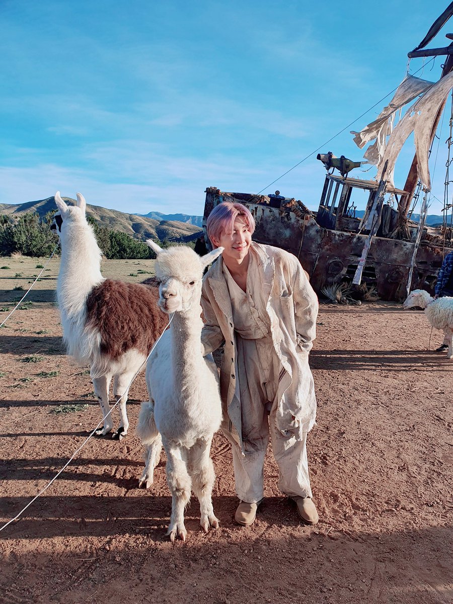 Namjoon posting a picture of him with an alpaca and captioning it with "Seokjin-ssi, look at here" 