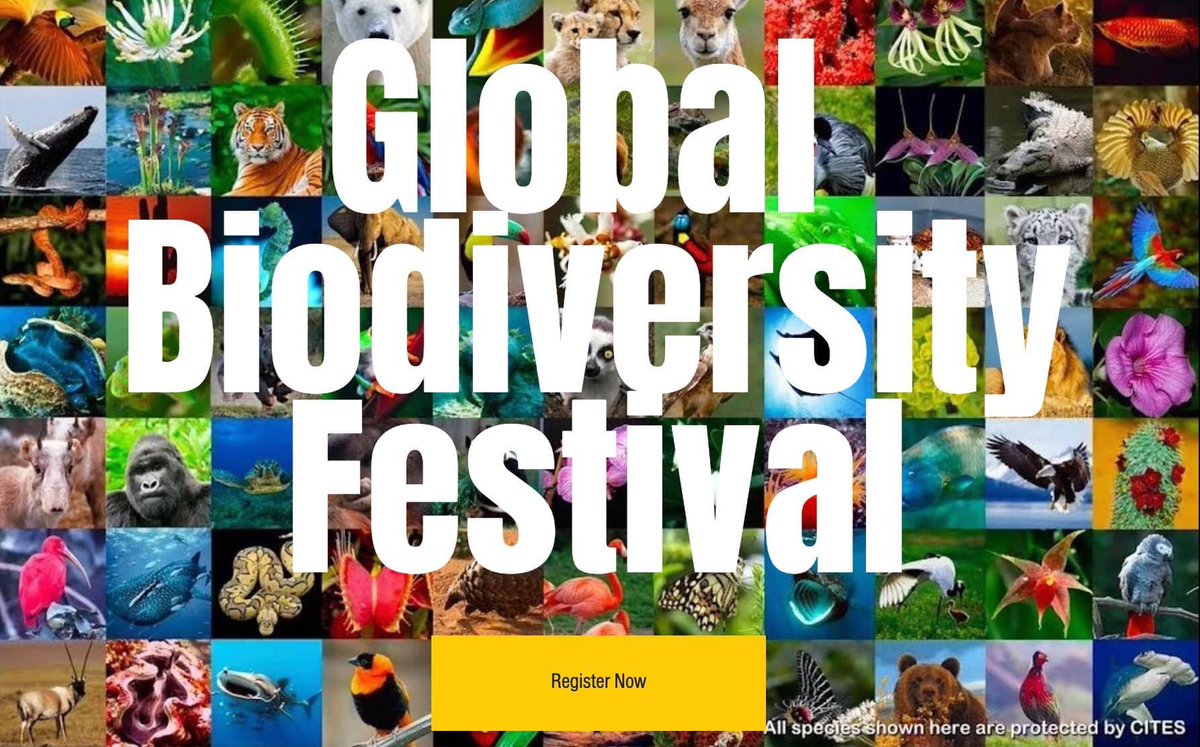 Global Alert - Trash tweet media