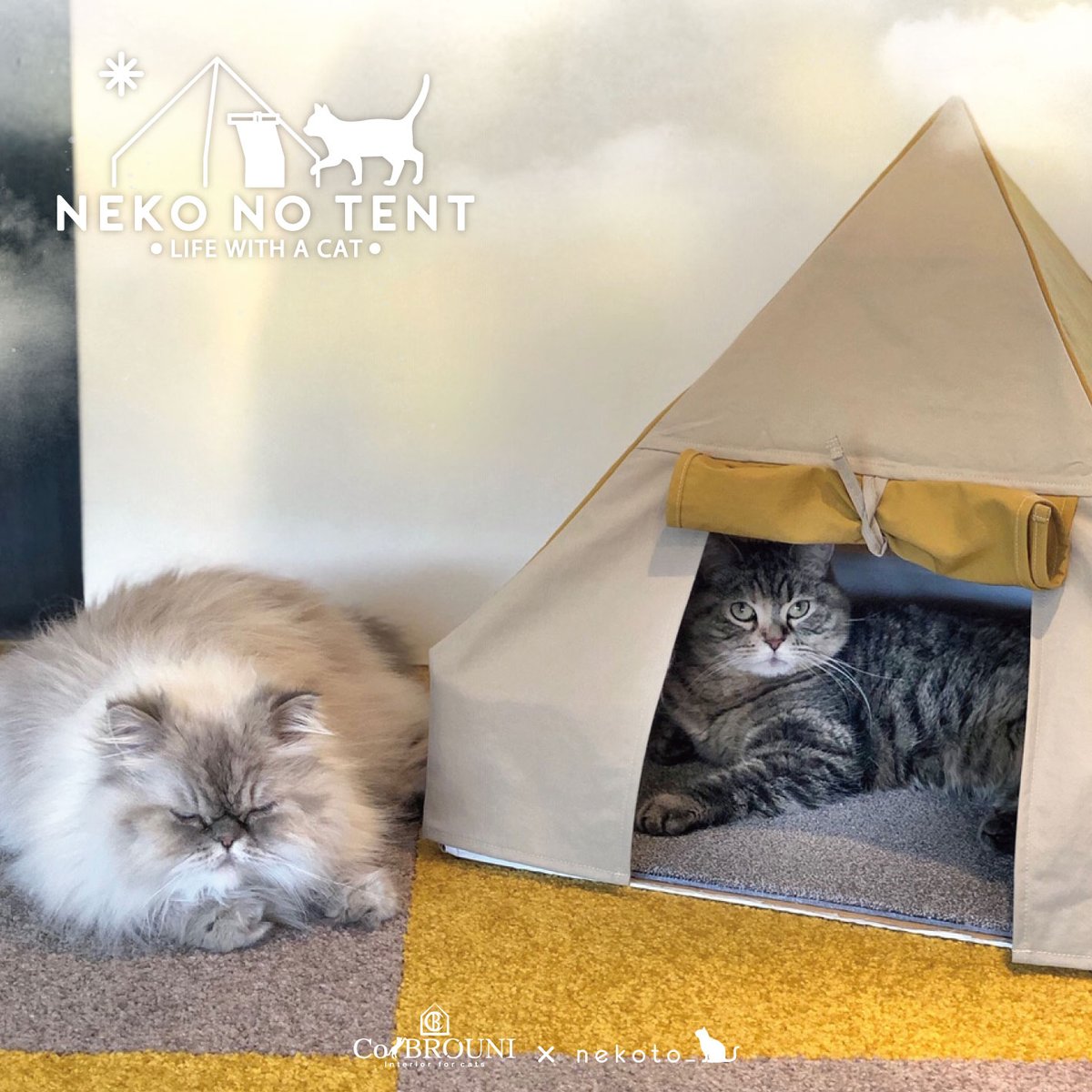 公式 Nekoto 猫のテント モニターにゃんずのご紹介 Instagram Muu Bonaparte さんです 天気のいい空の下で仲良くキャンプ マスタードのカーペットめちゃくちゃ可愛いのでおすすめです むぅぽこちゃんは猫のテントの作り方をおしゃれな動画