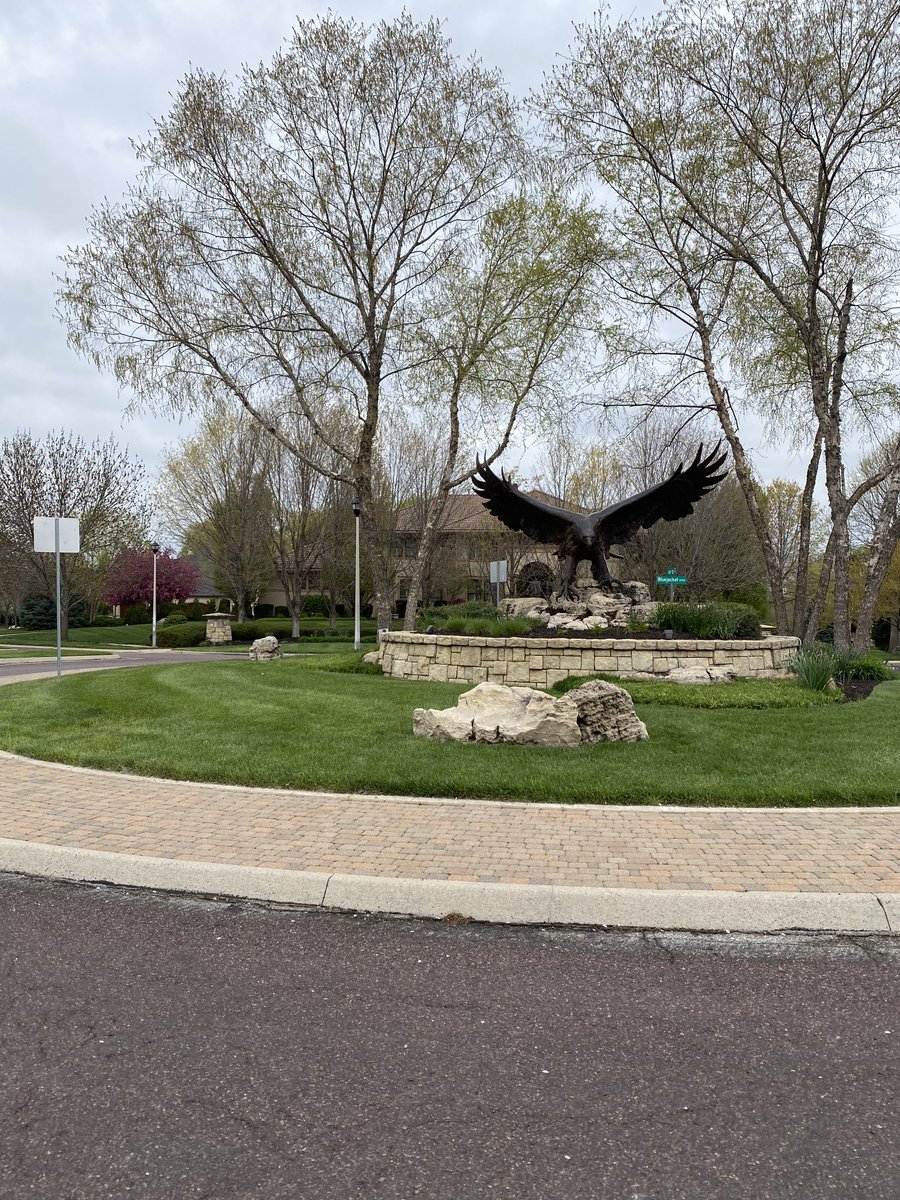 FreebernRick's tweet image. Hawk Hawk Hawk to all you Hawk fans