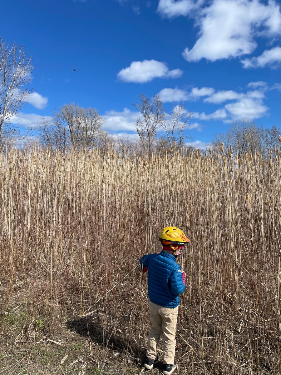 Tommy Thompson Park/Leslie spit, at the end of Leslie st. Bike/scoot on paved wide centre trail or walk along east or west walking trails. We saw a million different birds a few days ago. Beaches include fun looking metal dig debris/tiles. Lots to explore, kids walked for hours.