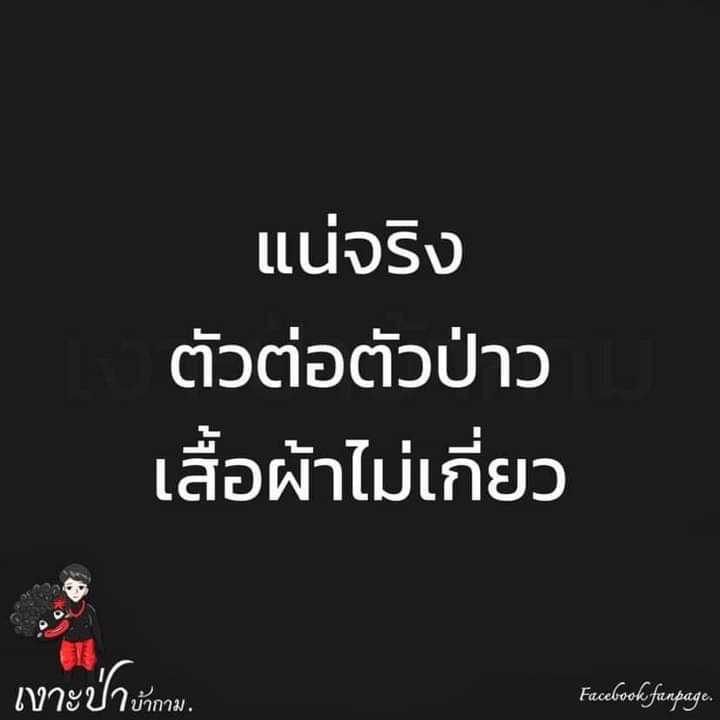 cheetar_ tweet picture