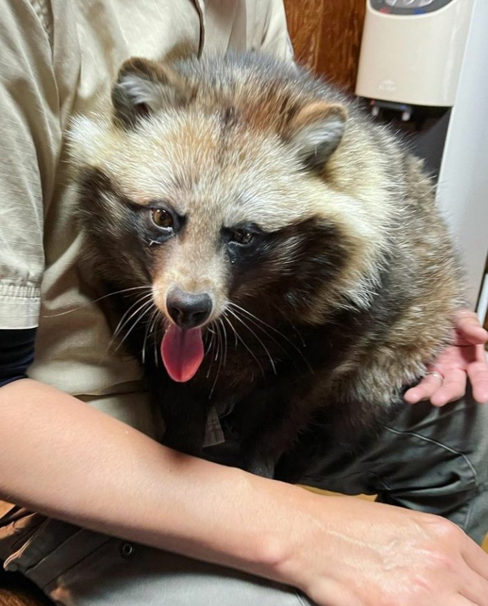 I love my baby 
How do you see her 😍❤