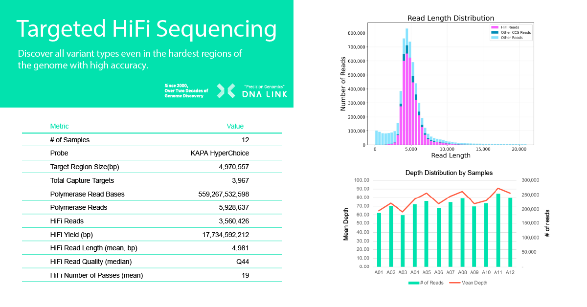 DNALink_Inc's tweet photo. Discover all variant types even in the hardest regions of the genome with high accuracy. https://t.co/nTohRhov3h