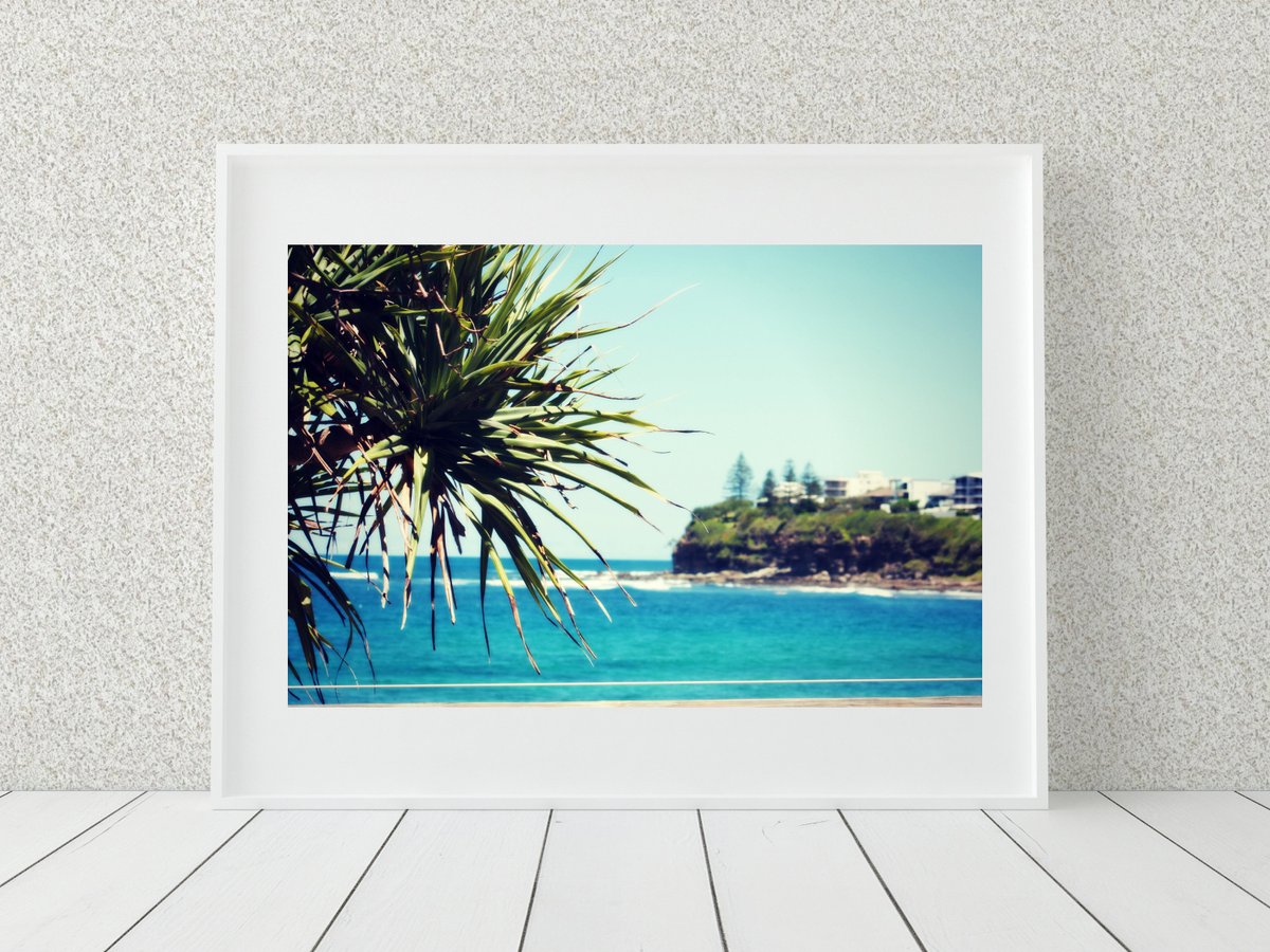 EnfocarPhoto's tweet image. Tropical Palm Photo Print, Australian Photography, Coastal Decor tuppu.net/843e1b50 #EnfocarPhotography #Etsy #PalmTreeDecor